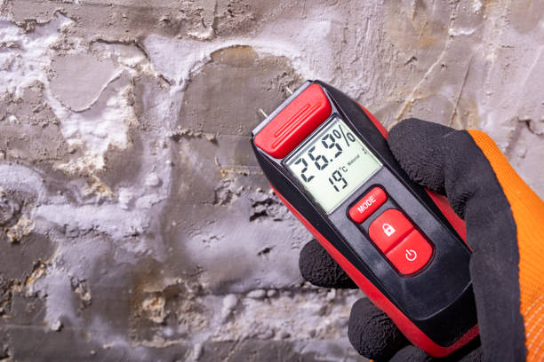 Best Post-Remediation Services in Mack, OH
